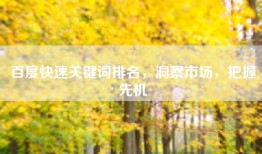 百度快速关键词排名，洞察市场，把握先机