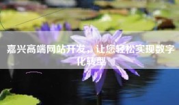嘉兴高端网站开发，让您轻松实现数字化转型