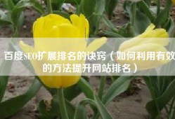 百度SEO扩展排名的诀窍（如何利用有效的方法提升网站排名）