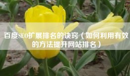 百度SEO扩展排名的诀窍（如何利用有效的方法提升网站排名）