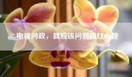 电视问政，就应该问到脸红心跳