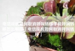 电信座机如何取消呼叫转移手机呼叫转移怎么解除「电信座机如何取消呼叫转移」