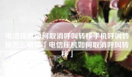 电信座机如何取消呼叫转移手机呼叫转移怎么解除「电信座机如何取消呼叫转移」