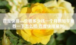 百度快排seo价格多少钱一个月啊知乎推荐一下怎么样(百度快排案例)