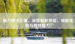 磁力种子云播，深度解析体验，领略优势与独特魅力！