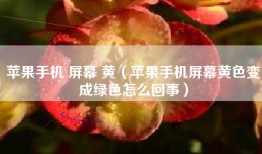 苹果手机 屏幕 黄（苹果手机屏幕黄色变成绿色怎么回事）