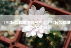 手机怎么修改视频尺寸（手机怎么修改视频尺寸比例）
