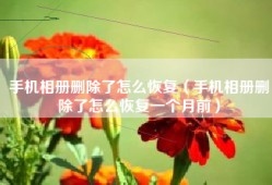 手机相册删除了怎么恢复（手机相册删除了怎么恢复一个月前）