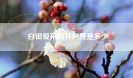 白银爱采购开户费是多少