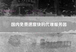 国内免费速度快的代理服务器