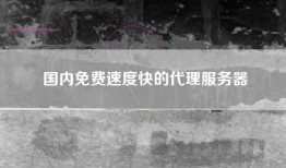 国内免费速度快的代理服务器