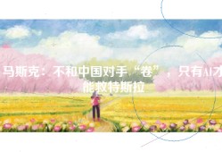 马斯克：不和中国对手“卷”，只有AI才能救特斯拉