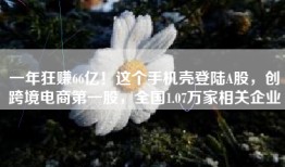 一年狂赚66亿！这个手机壳登陆A股，创跨境电商第一股，全国1.07万家相关企业
