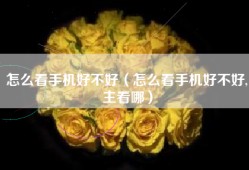怎么看手机好不好（怎么看手机好不好,主看哪）