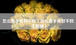 怎么看手机好不好（怎么看手机好不好,主看哪）