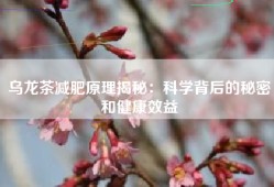 乌龙茶减肥原理揭秘：科学背后的秘密和健康效益