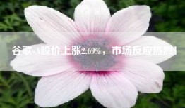 谷歌-A股价上涨2.69%，市场反应热烈！