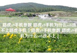 路虎a9手机参数 路虎a9手机为什么wifi连不上路虎手机「路虎a9手机参数 路虎a9手机为什么wifi连不上」