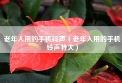 老年人用的手机铃声（老年人用的手机铃声特大）