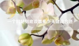 一个网站到底设置多少关键词合适