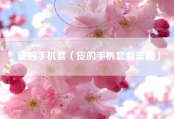 皮的手机套（皮的手机套翻盖的）