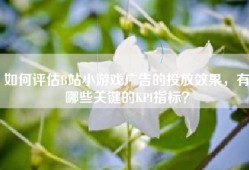 如何评估B站小游戏广告的投放效果，有哪些关键的KPI指标？
