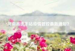 河南高速下站疫情管控最新通知？