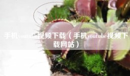 手机youtube视频下载（手机youtube视频下载网站）