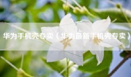 华为手机壳专卖（华为最新手机壳专卖）