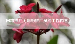 网路推广（网络推广员的工作内容）