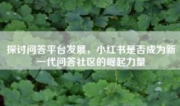 探讨问答平台发展，小红书是否成为新一代问答社区的崛起力量