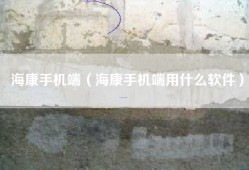 海康手机端（海康手机端用什么软件）