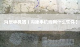 海康手机端（海康手机端用什么软件）