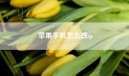 苹果手机怎么改ip