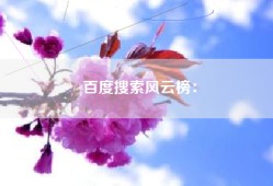 百度搜索风云榜：