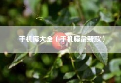 手机膜大全（手机膜最新款）
