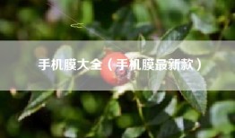 手机膜大全（手机膜最新款）