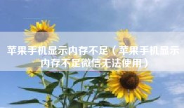 苹果手机显示内存不足（苹果手机显示内存不足微信无法使用）