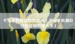 千元手机哪款性价比高（千元手机哪款性价比高值得入手）