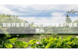 智能获客系统：助您轻松实现客户快速增长