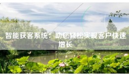 智能获客系统：助您轻松实现客户快速增长