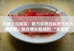巨量千川投流：助力快速达标有效粉开通权限，粉丝增长瓶颈的 “金钥匙”