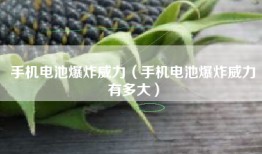 手机电池爆炸威力（手机电池爆炸威力有多大）