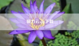 磁力云app下载