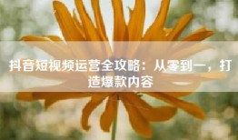 抖音短视频运营全攻略：从零到一，打造爆款内容