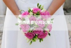 黔西南泰安网站推广
