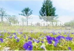Spark应用案例：搜索引擎优化