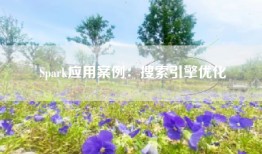 Spark应用案例：搜索引擎优化