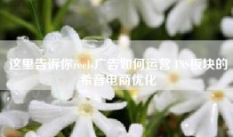 这里告诉你reels广告如何运营 INS板块的希音电商优化