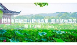 跨境电商数据分析与应用  题库试卷及答案（AB卷） .docx